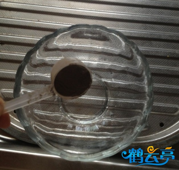 先取10克龟苓膏粉，加一点冷水混合