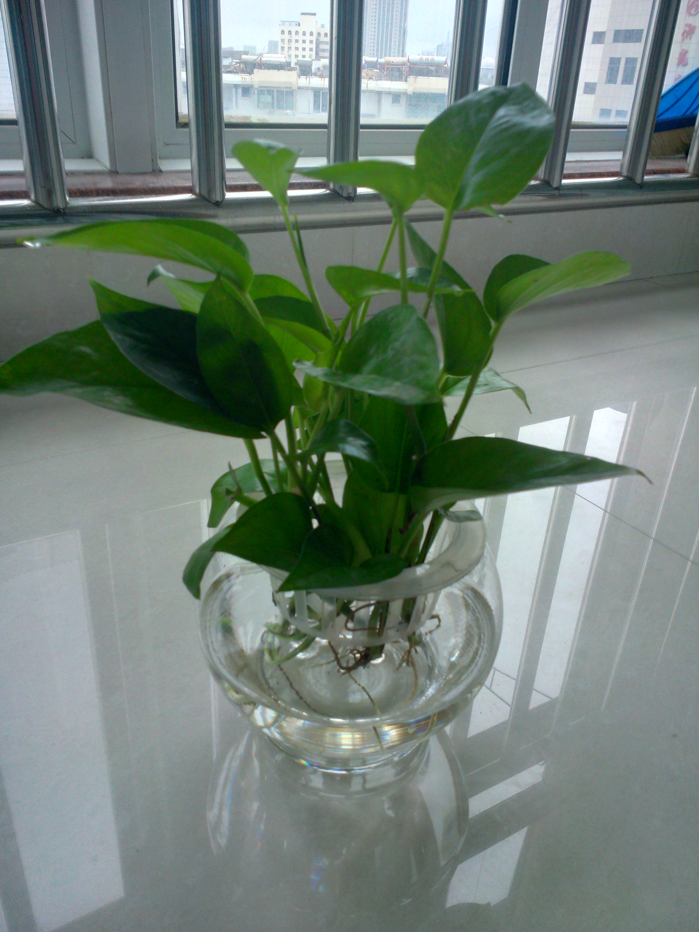 IMG20130822075857.jpg