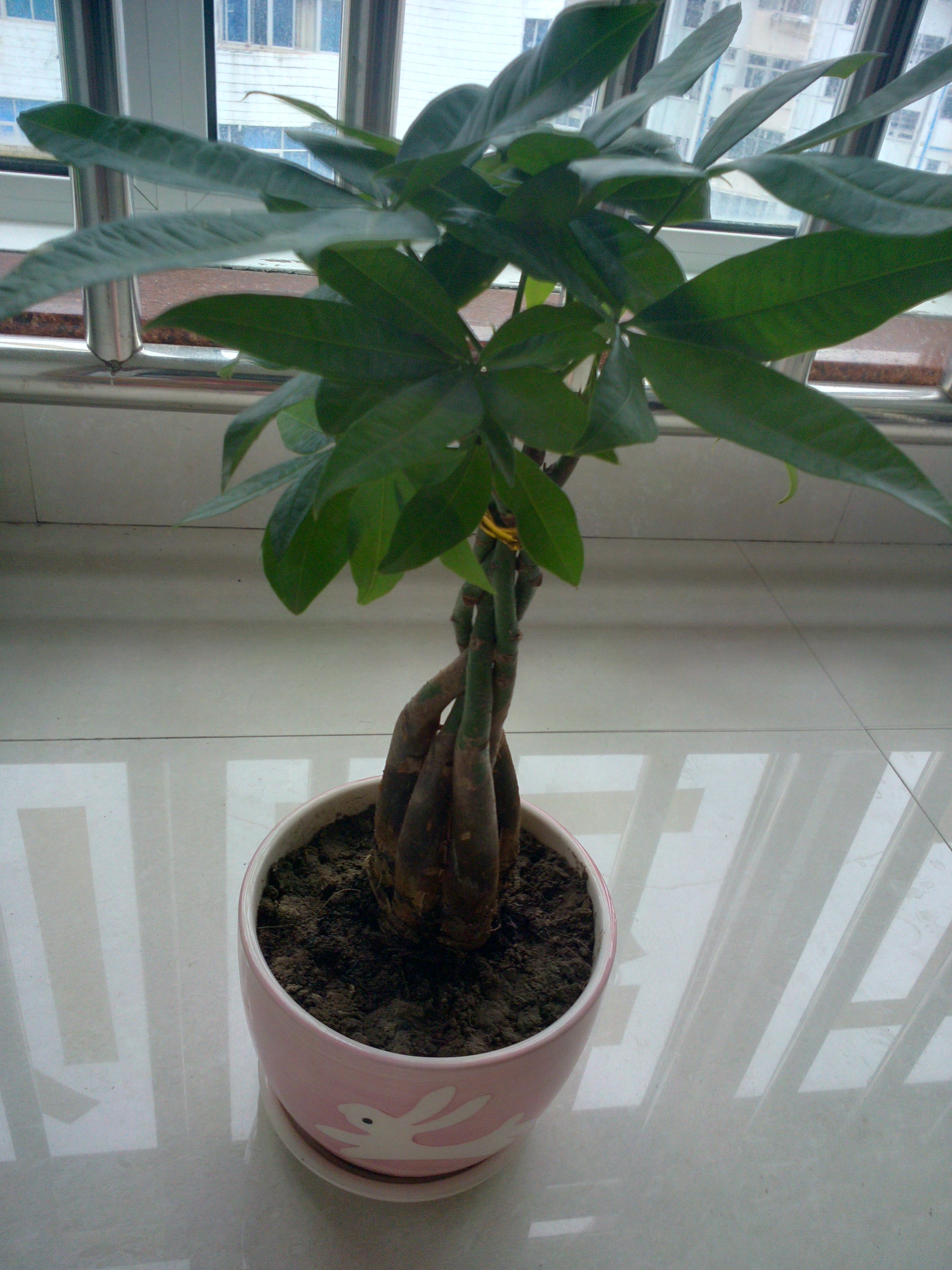 IMG20130822075949.jpg