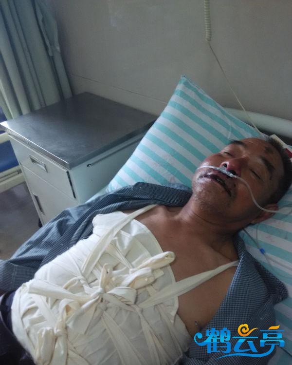 fXZD5YHUn6donZmXCsKW.jpg