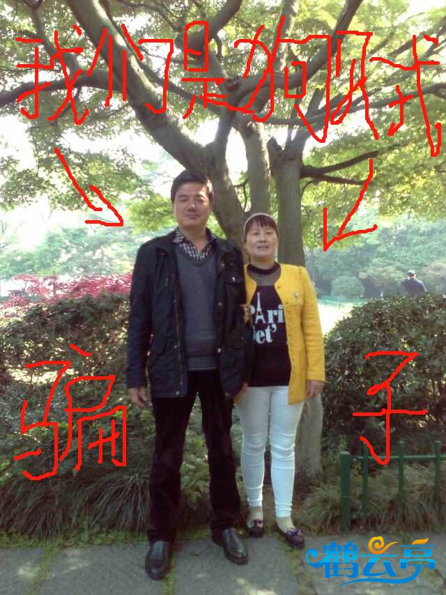 黄树芹哥哥嫂子等诈骗份子 (11).jpeg