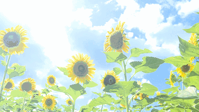 171110jjg6r0a0g4674i0r.gif