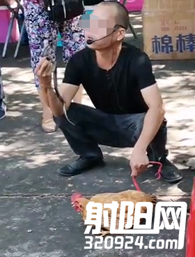 170741n77wzw81h8zui3wo.png