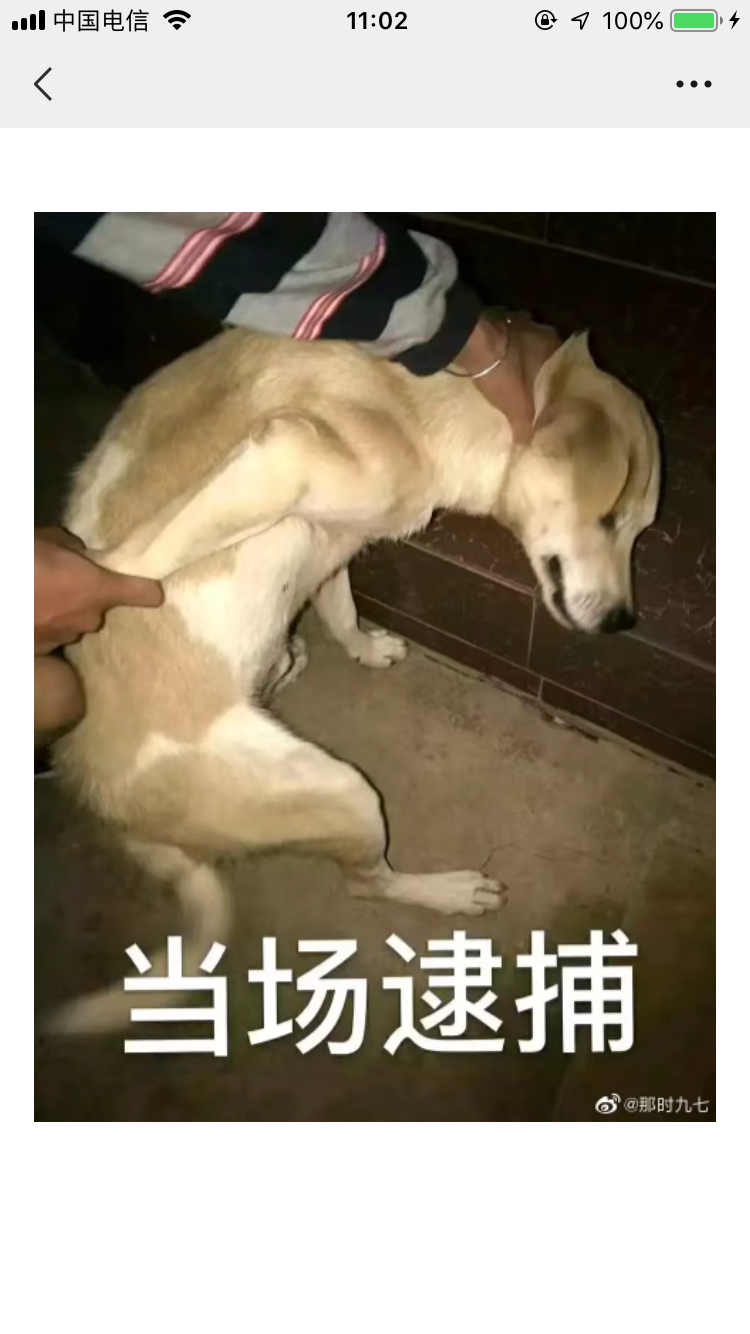 171834nbi31hzkk56iu3a1.png