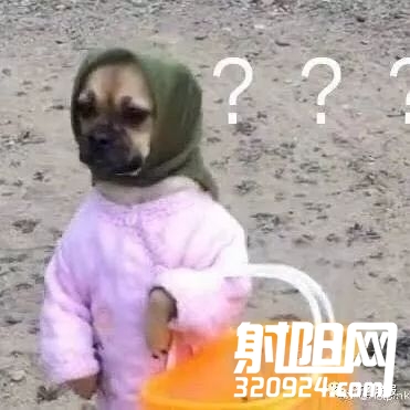 171441voxmxqpel82aqyol.jpeg