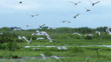 172124k9mlgle0z0u9zqh3.gif