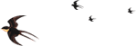 162122miinmtoxic9hln3q.png