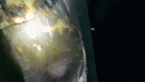 163454dze9w0r3red0r6n3.gif