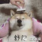170301m9adwbco9dd6id1c.jpeg