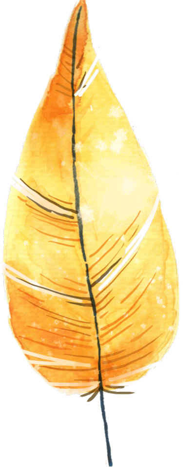 172320swc685w5pdqd1f6u.png