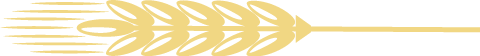 084317is1f4pssys11yf3d.png
