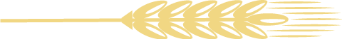 084317misqglbkuxc3g6by.png