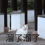 081109i7kpe1d0ykd57s5q.gif
