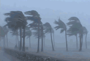104054asy5mibtyeis3s5o.gif