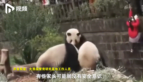094433epv3lmvnmxvpslsc.gif