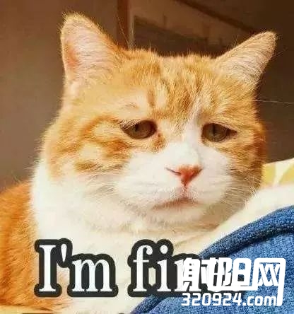 100109z73dy5ud55ryj38n.jpeg
