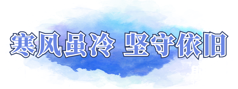 091238a63e1161le6d9ec2.png